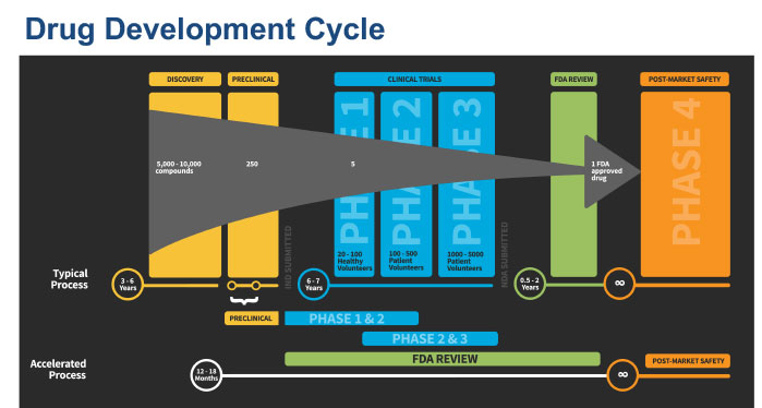 Drug development cycle chart